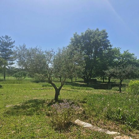 Apartamento La Bastideta, Fayence Exterior foto