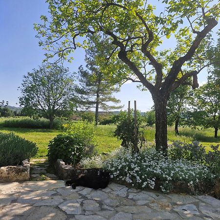 Apartamento La Bastideta, Fayence Exterior foto