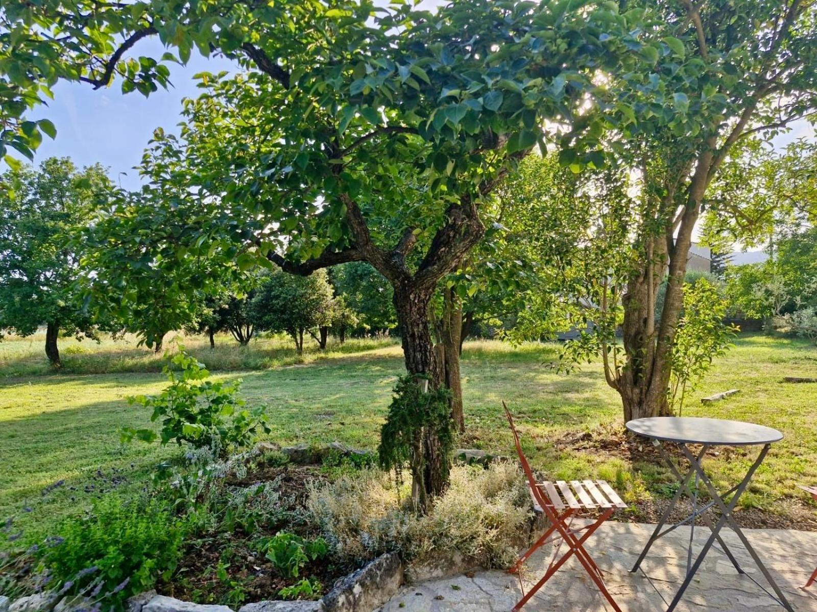 Apartamento La Bastideta, Fayence Exterior foto