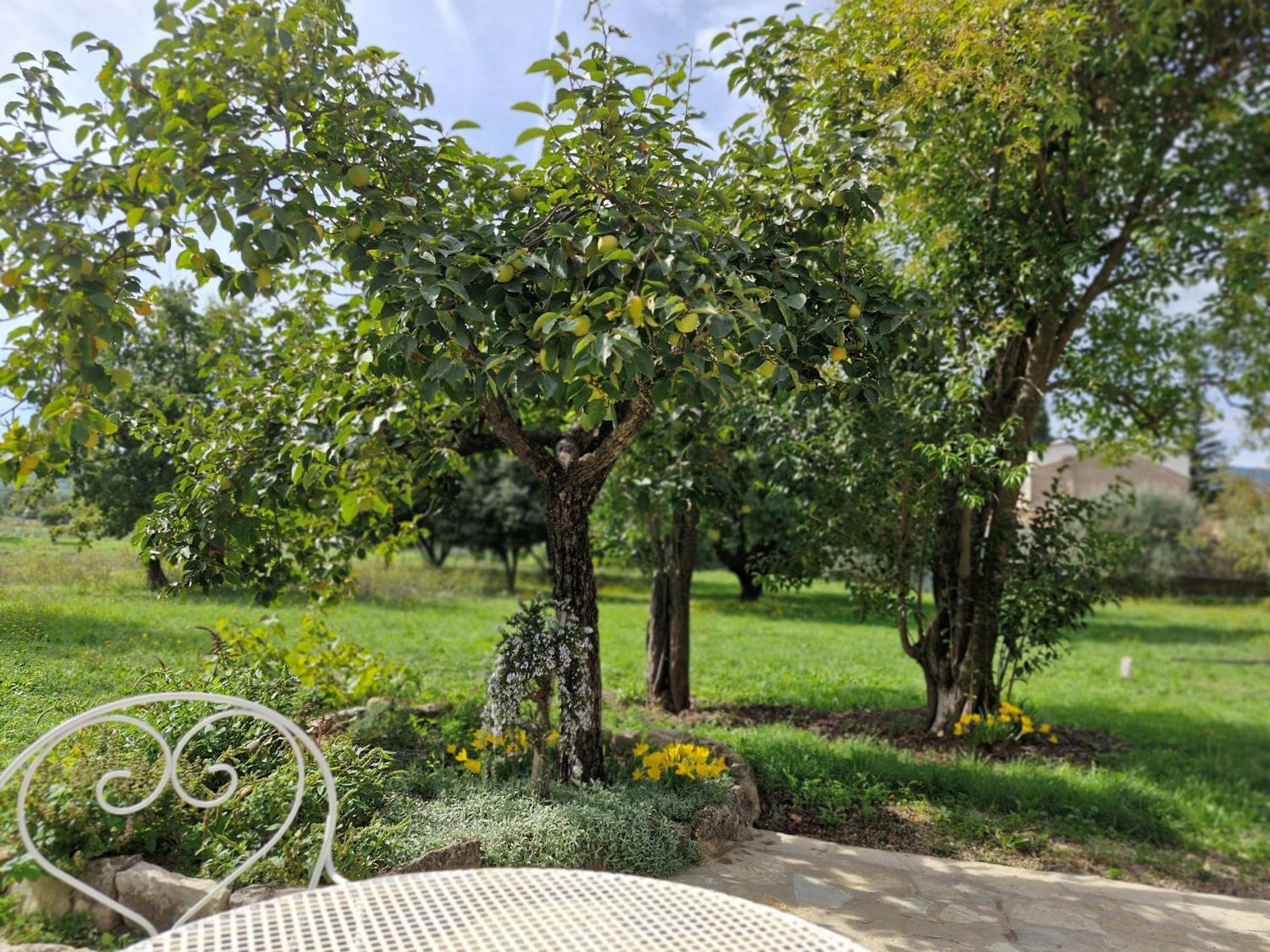 Apartamento La Bastideta, Fayence Exterior foto