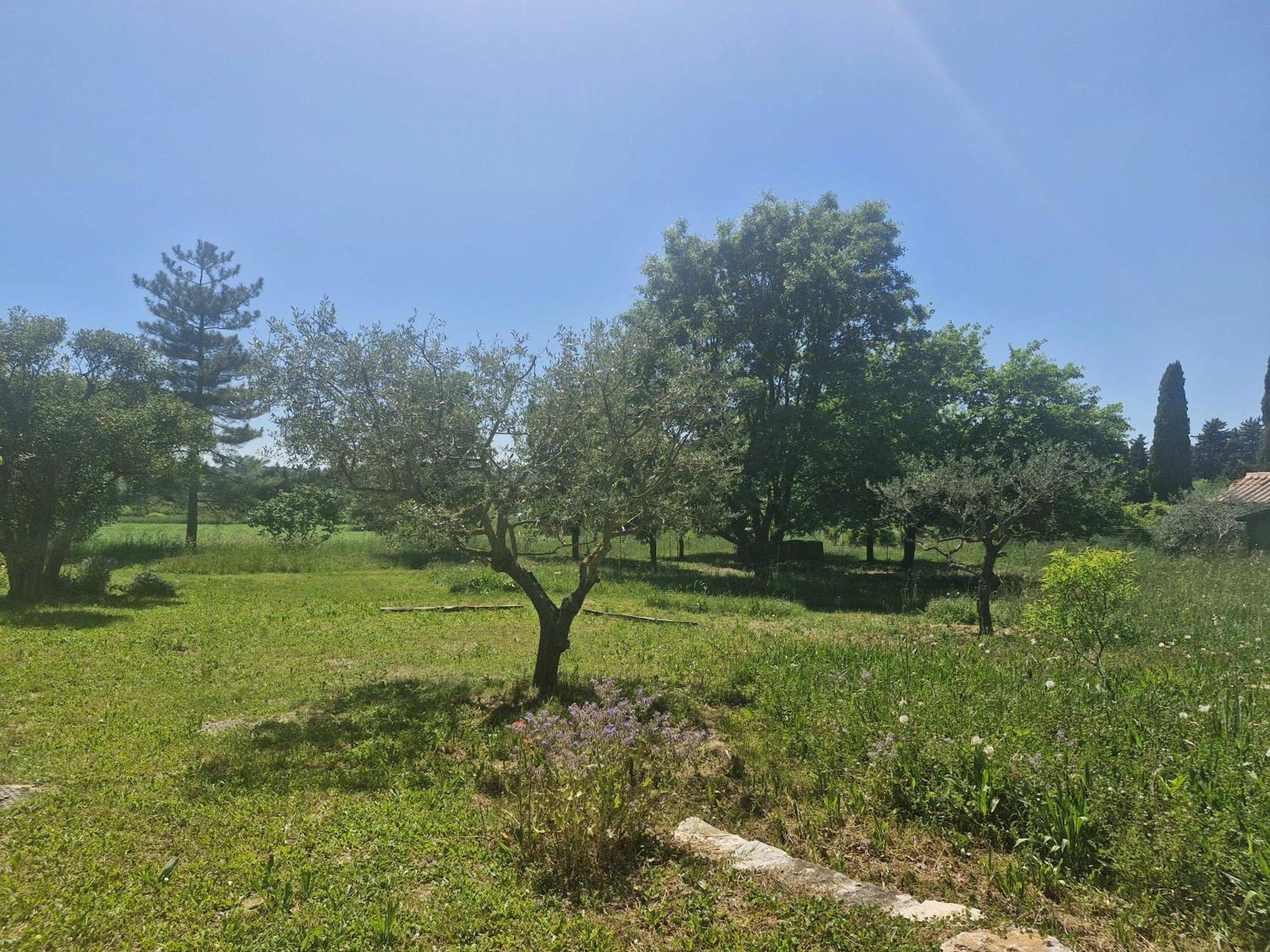 Apartamento La Bastideta, Fayence Exterior foto