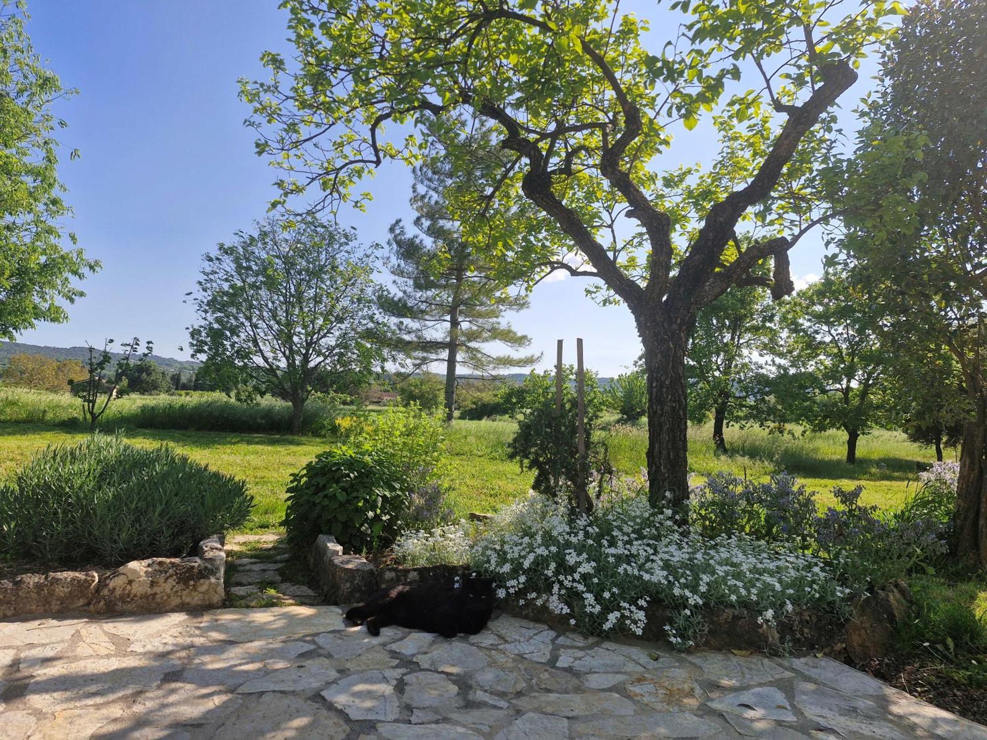 Apartamento La Bastideta, Fayence Exterior foto